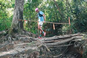 BIB: 
                            <button type="button" onclick="openModal(27745248)" class="btn btn-primary btn-sm float-right btn-popup" data-toggle="modal" data-target=".modal-high-quality">
                        <i class="fas fa-shopping-cart"></i> Add to Cart
                    </button>
                                            <button type="button" onclick="isThisMe(27745248, true)" class="btn btn-success btn-sm float-right btn-popup btn-isme hidden" data-toggle="tooltip" data-placement="bottom" title="นี่คือรูปของคุณใช่ไหม คลิกที่นี่เพื่อเอาเข้าอัลบั้ม">
                        <i class="fas fa-plus"></i> Add to album
                    </button>
                    <button type="button" onclick="isThisMe(27745248, false)" class="btn btn-warning btn-sm float-right btn-popup btn-isnotme hidden">
                        <i class="fas fa-ban"></i> Remove from album
                    </button>